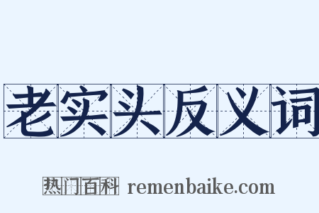 老实头反义词是什么意思的图片